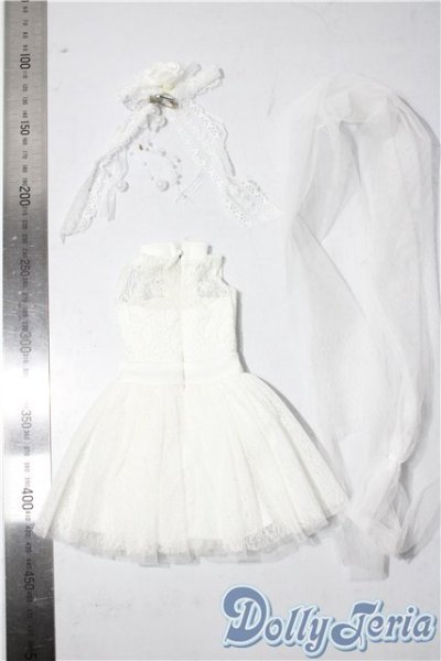 画像2: SDM＆MSD/OF:衣装セット U-25-11-12-056-NY-ZU (2)