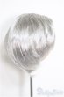 画像2: 8-9inch/ウィッグ/インチ　BJD　MJD　ドール用 A-25-09-03-333-TN-ZA (2)
