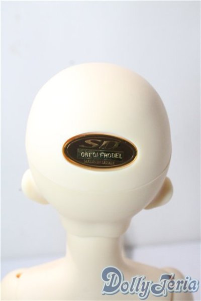 画像6: SD女の子/ワンオフモデル：F-63・saifa様メイク U-25-09-30-215-NY-ZU (6)