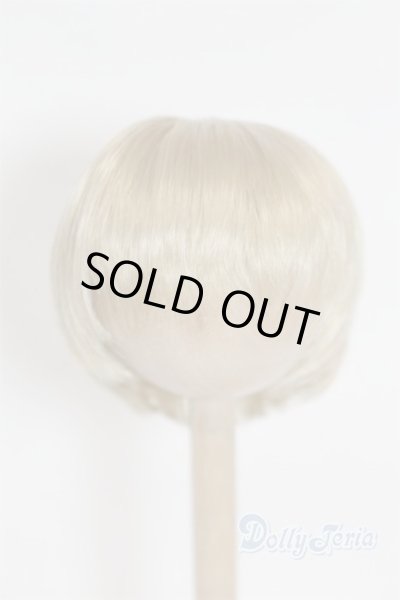 画像1: 6-7inch/ウィッグ/インチ　BJD　MJD　ドール用 A-25-09-17-080-NY-ZA (1)