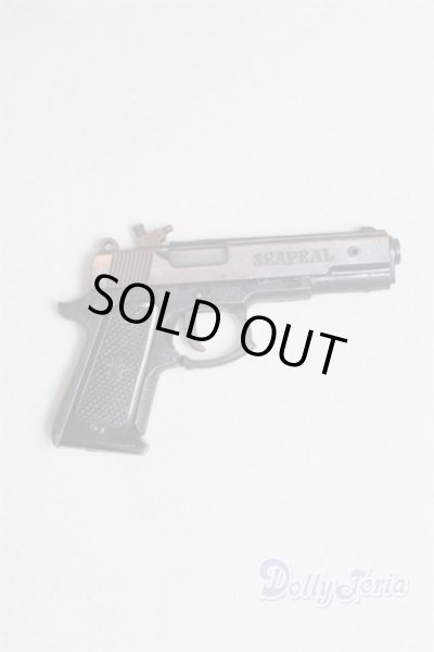 画像1: SD/OF:銃/0 A-25-09-24-066-NY-ZA (1)