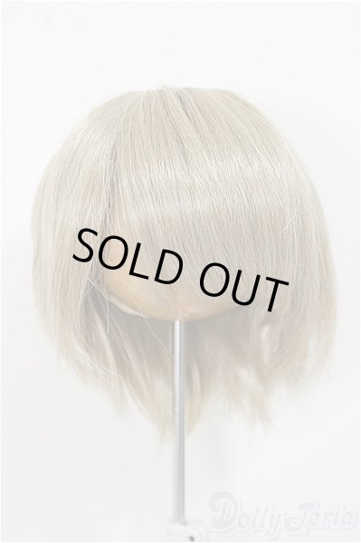 画像1: 8-9inch/ウィッグ/インチ　BJD　MJD　ドール用 A-25-11-19-397-NY-ZA (1)