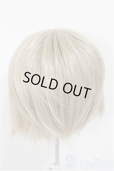 画像2: 8-9inch/ウィッグ/インチ　BJD　MJD　ドール用 A-25-11-19-397-NY-ZA (2)