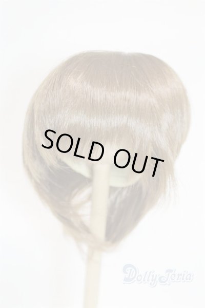 画像1: 8-9inch/ウィッグ/インチ　BJD　MJD　ドール用 A-25-11-26-073-NY-ZA (1)