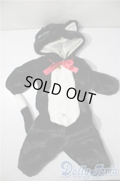 画像1: SD/OF:衣装セット U-25-11-12-153-NY-ZU (1)