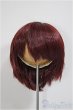 画像1: 8-9inch/ウィッグ A-25-09-10-366-NY-ZA (1)