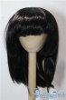 画像1: 9-10inch/ウィッグ U-25-09-30-110-NY-ZU (1)