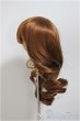 画像2: 9-10inch/ウィッグ/インチ　BJD　MJD　ドール用 A-25-09-17-220-NY-ZA (2)