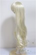 画像2: 9-10inch/ウィッグ/インチ　BJD　MJD　ドール用 A-25-09-17-221-NY-ZA (2)