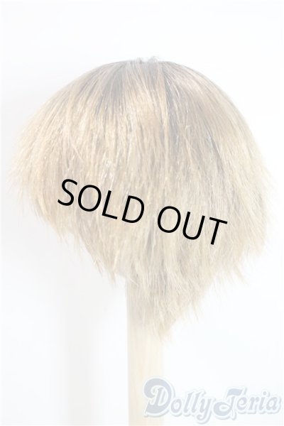 画像2: 8-9inch/ウィッグ U-25-09-23-032-NY-ZU (2)