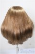 画像2: 8-9inch/ウィッグ/インチ　BJD　MJD　ドール用 A-25-09-24-236-NY-ZA (2)