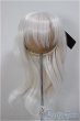 画像1: 9inch/ウィッグ/インチ　BJD　MJD　ドール用 A-25-09-24-238-NY-ZA (1)