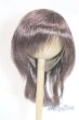 画像1: 9inch/ウィッグ/インチ　BJD　MJD　ドール用 A-25-10-01-071-NY-ZA (1)