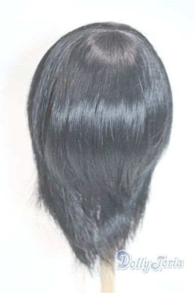 画像2: 9inch/ウィッグ/インチ　BJD　MJD　ドール用 A-25-10-01-059-NY-ZA (2)