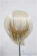 画像1: 7inch/ウィッグ/インチ　BJD　MJD　ドール用 A-25-09-24-309-NY-ZA (1)