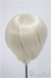 画像2: 7inch/ウィッグ/インチ　BJD　MJD　ドール用 A-25-09-24-309-NY-ZA (2)