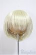画像1: 8-9inch/ウィッグ/インチ　BJD　MJD　ドール用 A-25-09-24-306-NY-ZA (1)