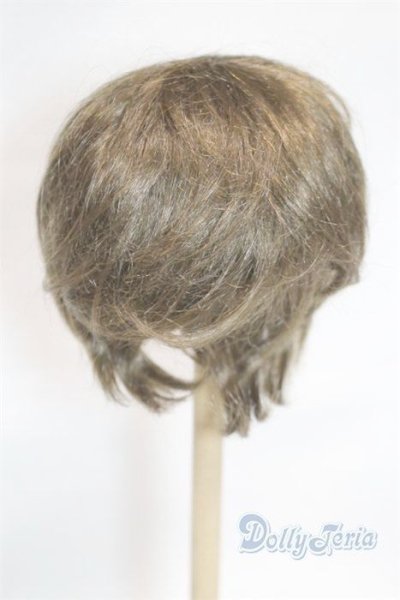 画像2: 6-7inch/ウィッグ/インチ　BJD　MJD　ドール用 A-25-11-26-075-NY-ZA (2)