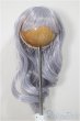 画像1: 7-8inch/ウィッグ/インチ　BJD　MJD　ドール用 A-25-09-24-386-NY-ZA (1)