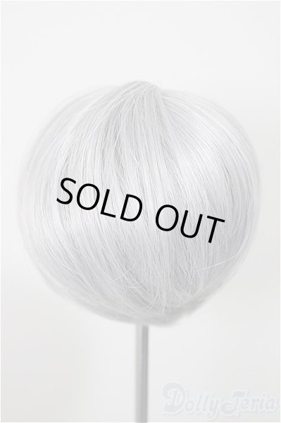 画像2: 8-9inch/ウィッグ/インチ　BJD　MJD　ドール用 A-25-10-01-215-NY-ZA (2)