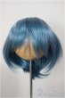 画像1: 6-7inch/ウィッグ/インチ　BJD　MJD　ドール用 A-25-10-01-217-NY-ZA (1)