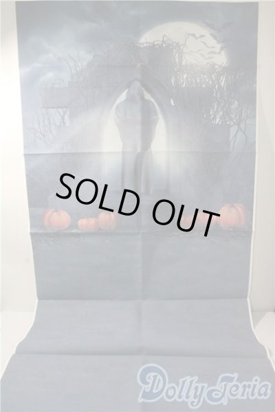 画像1: 背景布 U-25-10-07-206-NY-ZU (1)