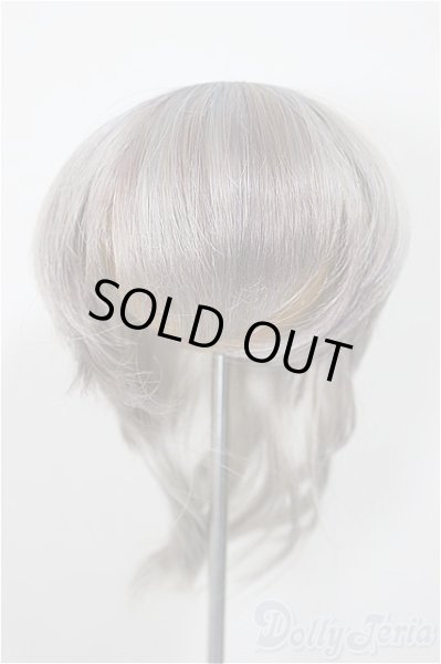 画像1: 7-8inch/ウィッグ/インチ　BJD　MJD　ドール用 A-25-10-01-220-NY-ZA (1)