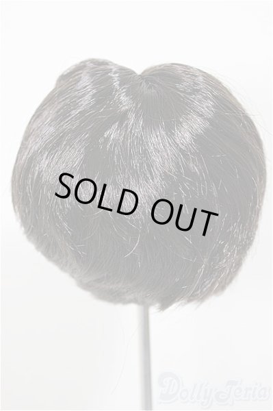 画像2: 7-8inch/ウィッグ/インチ　BJD　MJD　ドール用 A-25-10-01-213-NY-ZA (2)