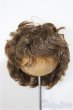 画像1: 8inch/ウィッグ/インチ　BJD　MJD　ドール用 A-25-10-01-212-NY-ZA (1)
