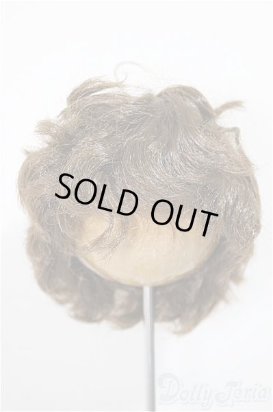 画像1: 8inch/ウィッグ/インチ　BJD　MJD　ドール用 A-25-10-01-212-NY-ZA (1)