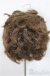 画像2: 8inch/ウィッグ/インチ　BJD　MJD　ドール用 A-25-10-01-212-NY-ZA (2)