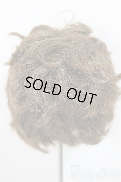 画像2: 8inch/ウィッグ/インチ　BJD　MJD　ドール用 A-25-10-01-212-NY-ZA (2)