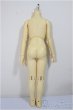 画像2: MSD/男の子ボディ/BJD　球体関節人形 A-25-10-01-259-NY-ZA (2)