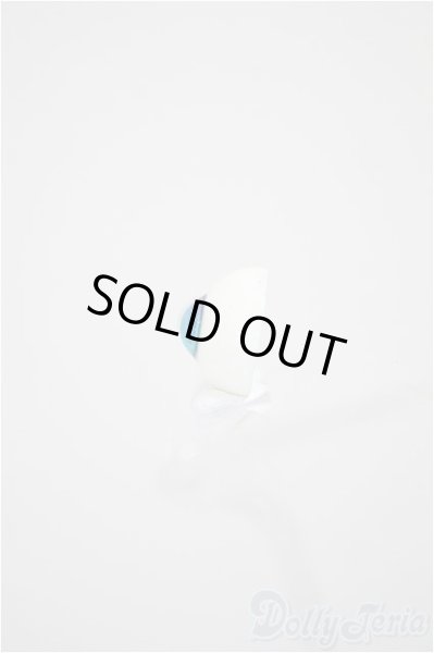 画像2: 14ｍm/レジンアイ/ドール用　アイ A-25-10-01-285-NY-ZA (2)