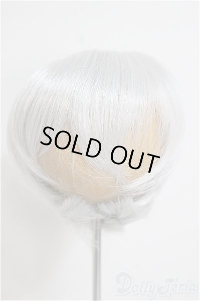 画像1: 8-9inch/ウィッグ/インチ　BJD　MJD　ドール用 A-25-10-08-211-NY-ZA (1)