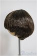 画像2: 6-7inch/ウィッグ/インチ　BJD　MJD　ドール用 A-25-10-08-212-NY-ZA (2)