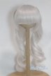 画像1: 6-7inch/ウィッグ/インチ　BJD　MJD　ドール用 A-25-10-08-075-NY-ZA (1)