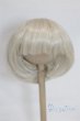 画像1: 9-10inch/ウィッグ/インチ　BJD　MJD　ドール用 A-25-10-08-055-NY-ZA (1)