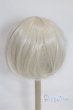 画像2: 9-10inch/ウィッグ/インチ　BJD　MJD　ドール用 A-25-10-08-055-NY-ZA (2)