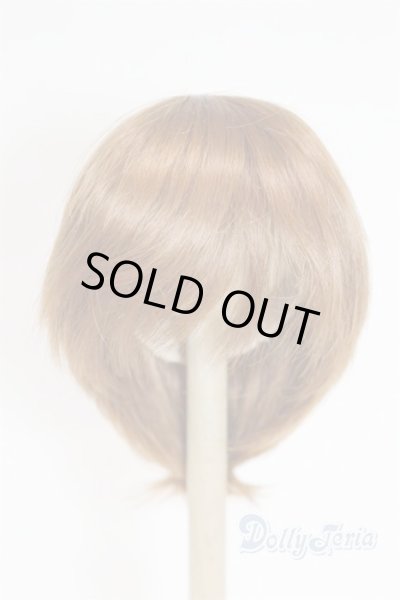 画像1: 7-8inch/ウィッグ/インチ　BJD　MJD　ドール用 A-25-10-08-048-NY-ZA (1)