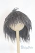 画像1: 7-8inch/ウィッグ/インチ　BJD　MJD　ドール用 A-25-10-08-079-NY-ZA (1)