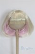 画像1: 8-9inch/ウィッグ/インチ　BJD　MJD　ドール用 A-25-10-08-061-NY-ZA (1)