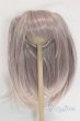 画像1: 8-9inch/ウィッグ/インチ　BJD　MJD　ドール用 A-25-10-08-077-NY-ZA (1)