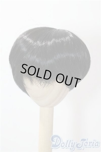 画像1: 8-9inch/ウィッグ U-25-10-14-052-NY-ZU (1)