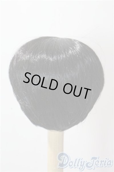 画像2: 8-9inch/ウィッグ U-25-10-14-052-NY-ZU (2)