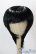画像1: 8-9inch/ウィッグ U-25-10-14-033-NY-ZU (1)