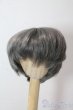 画像1: 8-9inch/ウィッグ U-25-10-21-040-NY-ZU (1)