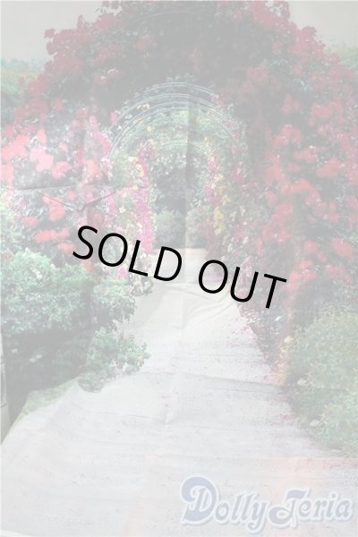 画像1: 1/3ドールサイズ/撮影用背景布 U-25-10-07-109-NY-ZU (1)