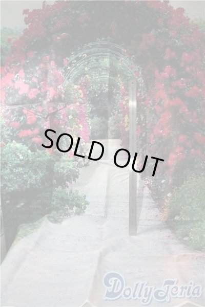 画像2: 1/3ドールサイズ/撮影用背景布 U-25-10-07-109-NY-ZU (2)