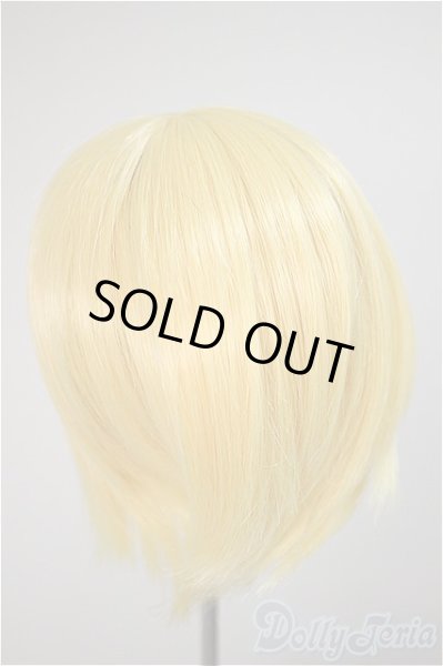 画像2: 8-9inch/ウィッグ/インチ　BJD　MJD　ドール用 A-25-10-22-396-NY-ZA (2)